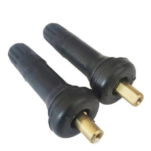 Tubeless Valve